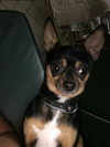 Dexter