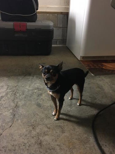 Dexter