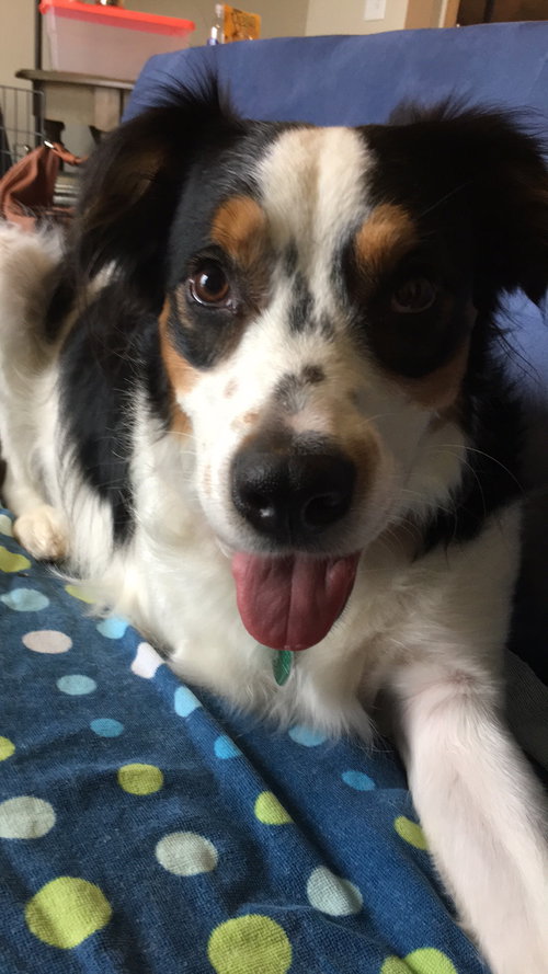 Oliver