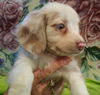 Lillian Star (Lilly)