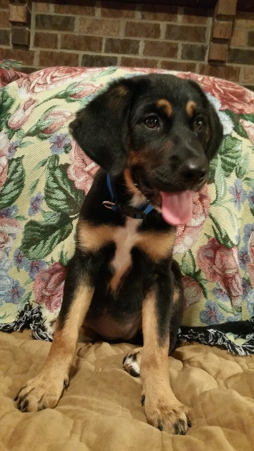 Mocha