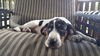 Addie