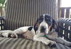 Addie