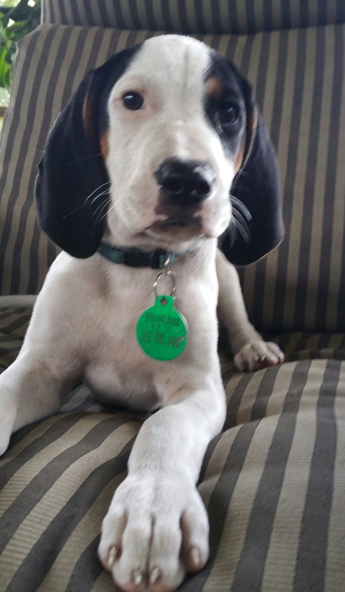 Knox