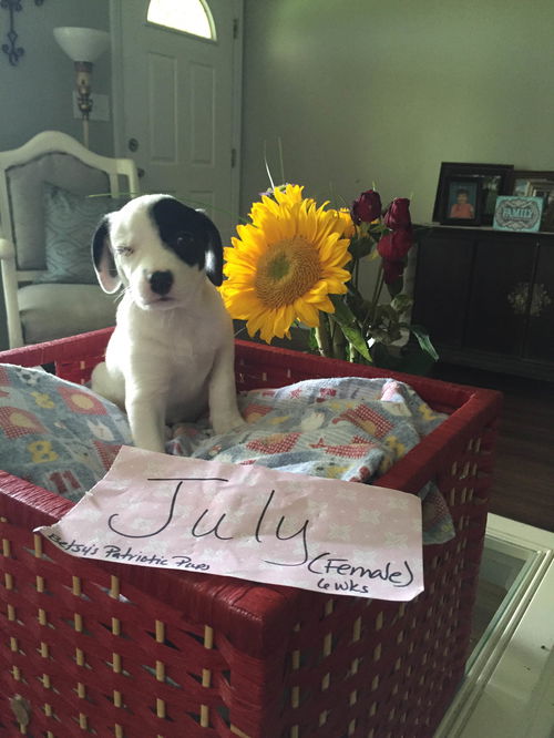 Ellie