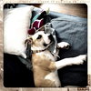 Emmitt
