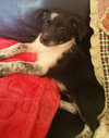 Tilly