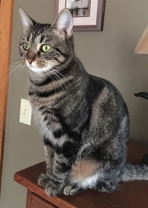 Teyla