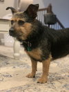 Penny