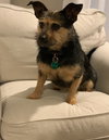Penny