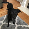 Vee