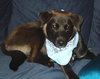 Bailey