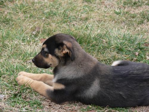 Barclay
