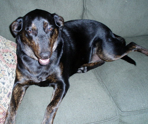 Bella