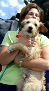 Benji