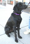 Charley