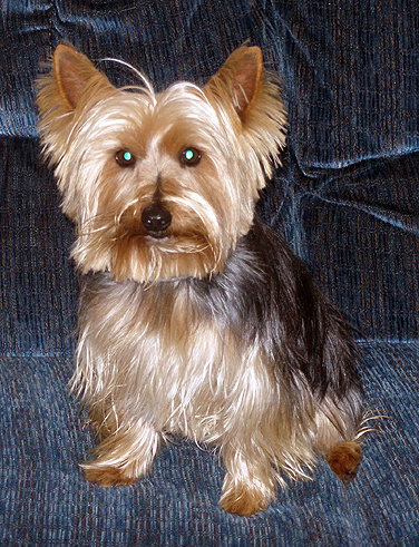 Charlie