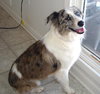 Cheyenne