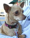 Chloe