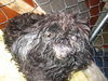 Holly- Before