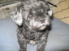 Holly-2008