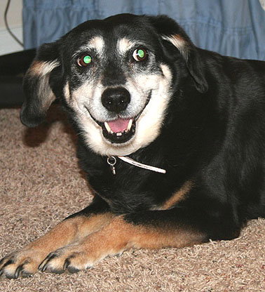 Josie