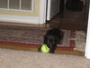 Libby