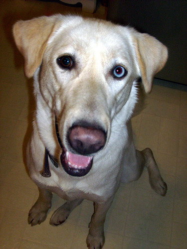 Lilah