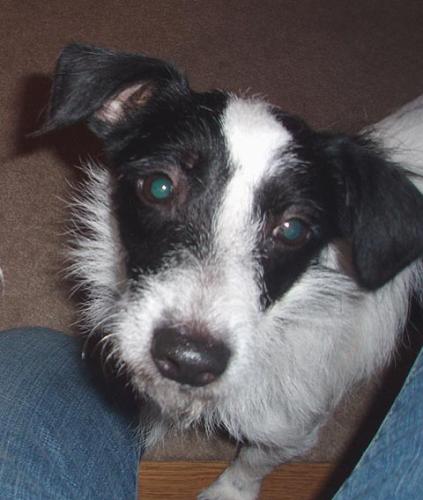Lulu