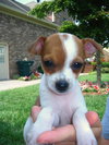 Mady