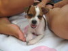 Mady