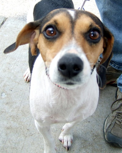 Maggie