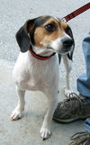 Maggie