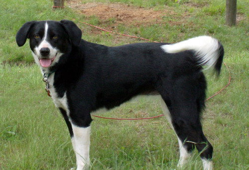 Maggie B.