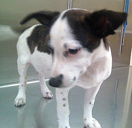 Meggie