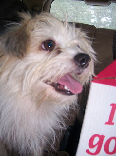 Oliver