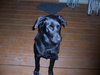 Riley