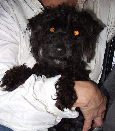 Roscoe