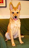 Sadie