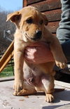 Titan