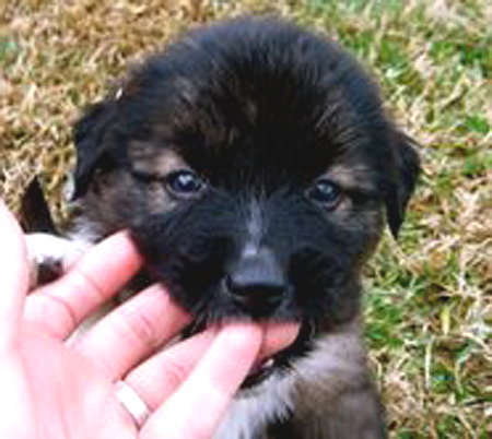 Billy
