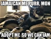 Marley