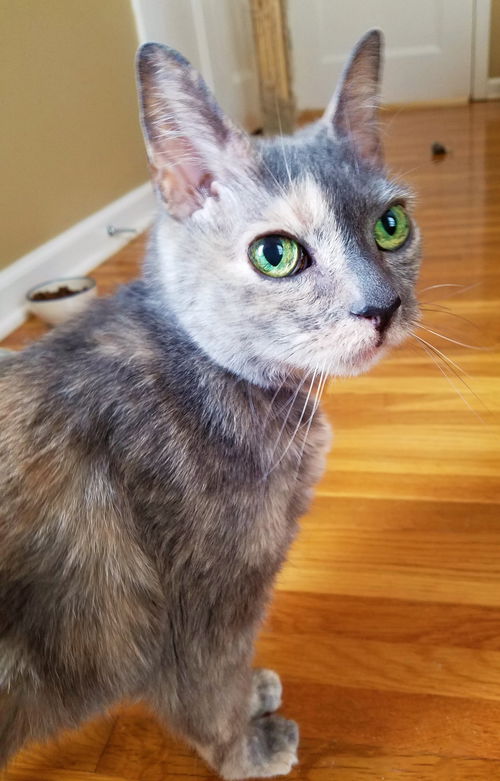 Eleanor