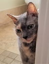 Eleanor