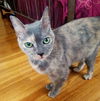 Eleanor