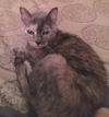Eleanor