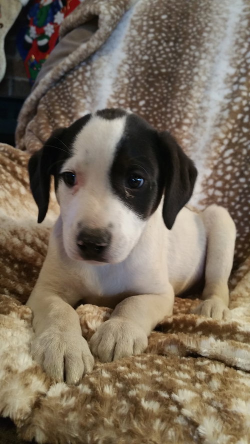 Tucker
