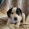 Tucker