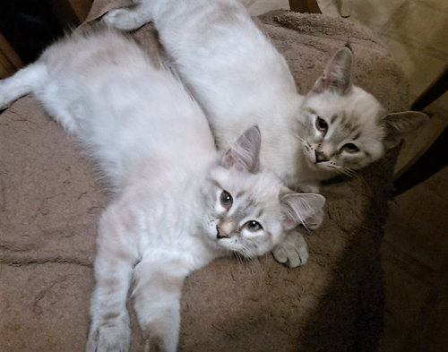 Ellie & Teddy