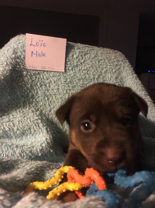Max